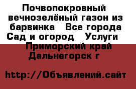 Почвопокровный, вечнозелёный газон из барвинка - Все города Сад и огород » Услуги   . Приморский край,Дальнегорск г.